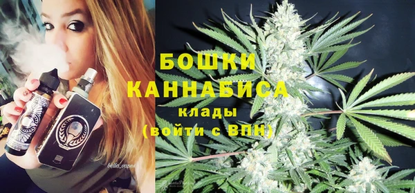 спиды Михайлов