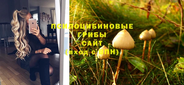 спайс Михайловск