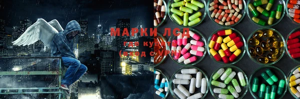прущие грибы Михайловка
