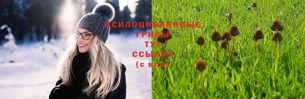 дмт Мегион