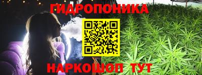 мдпв Гагарин