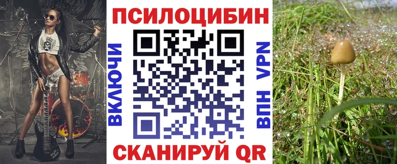shop Telegram  цена   Арсеньев  Галлюциногенные грибы Cubensis 