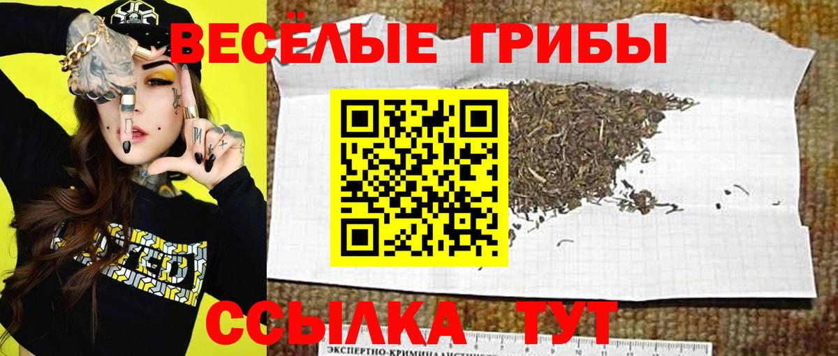 Галлюциногенные грибы Psilocybe  Псилоцибиновые грибы GOLDEN TEACHER  Арсеньев 