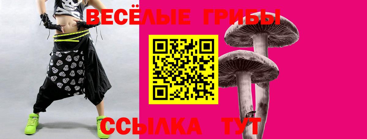 как найти наркотики  Псилоцибиновые грибы Psilocybine cubensis  Вход с VPN  Арсеньев 